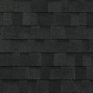 TruDefinition Duration Onyx Black